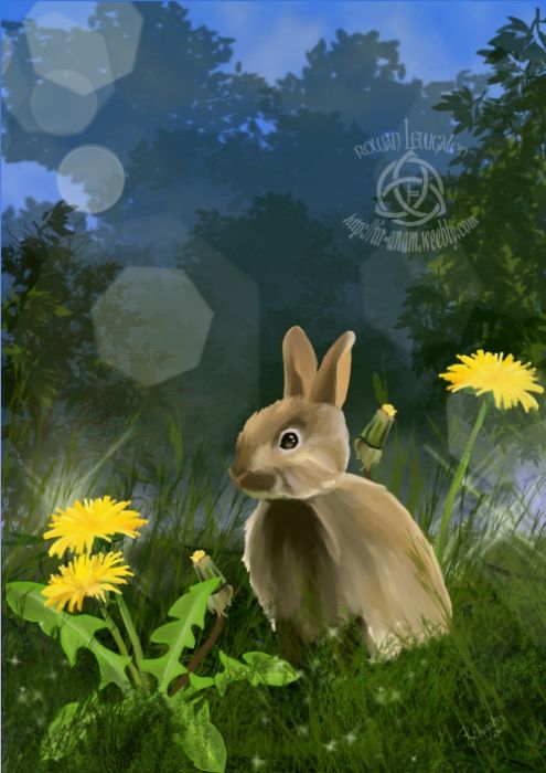 Bunny by Rowan Lewgalon